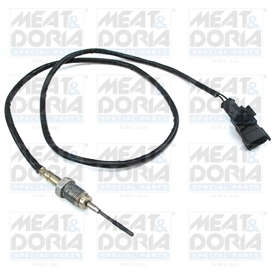 Sensor, exhaust gas temperature